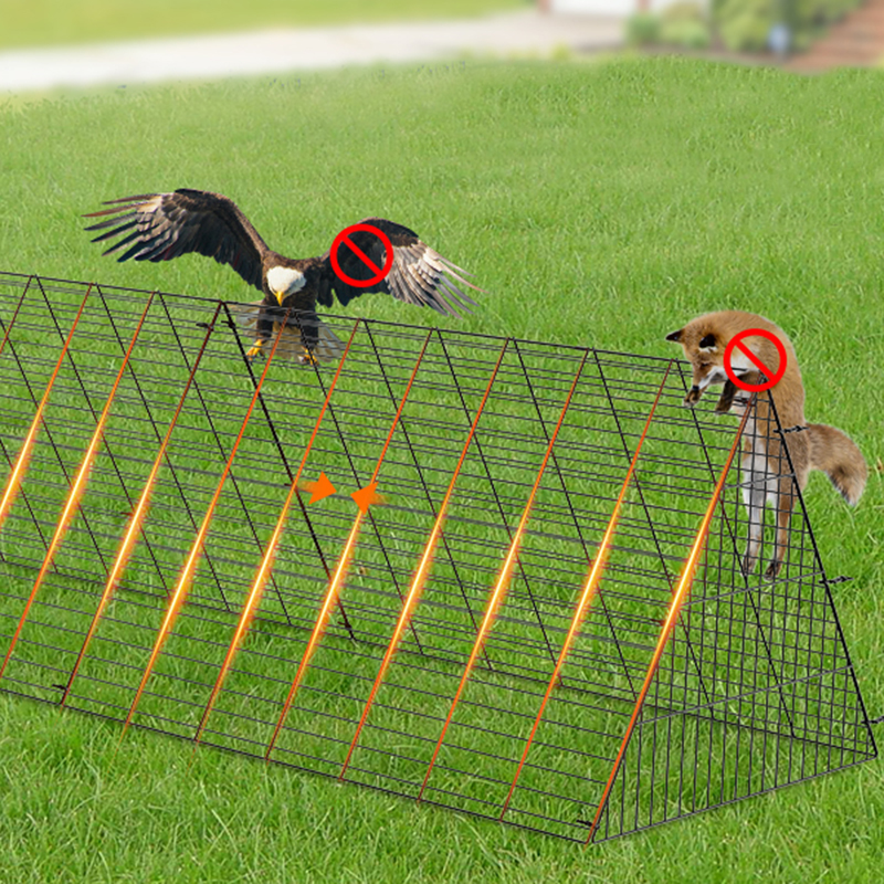 Vonkajší beh s veľkým kačicovým kuracím mäsom Cage na dvore Vonkajší beh s veľkým kačicovým kuracím mäsom Cage na dvore