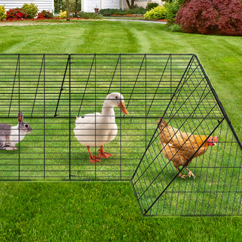 Vonkajší beh s veľkým kačicovým kuracím mäsom Cage na dvore Vonkajší beh s veľkým kačicovým kuracím mäsom Cage na dvore