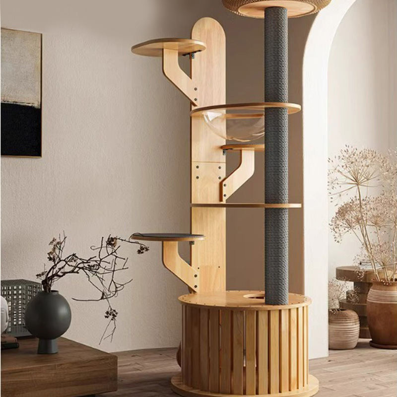 Kaktusový tvar dreva lezenia Rám s masívnou mačkou s vesmírnou kapsulou Kaktusový tvar dreva lezenia Rám s masívnou mačkou s vesmírnou kapsulou