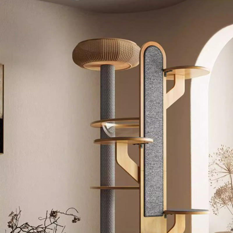 Kaktusový tvar dreva lezenia Rám s masívnou mačkou s vesmírnou kapsulou Kaktusový tvar dreva lezenia Rám s masívnou mačkou s vesmírnou kapsulou